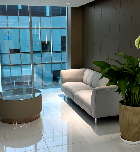 Island hopping tour service